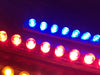 SLIC 24 LED Stingerz® (9.4”) LED strip